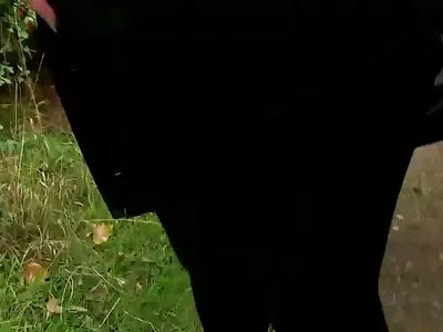 O soție atât de drăguță brunetă futute frumos face o muie al naibii în cadă duminică seara