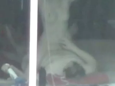 Lovitură grozavă de păsărică de pasarici goale aproape